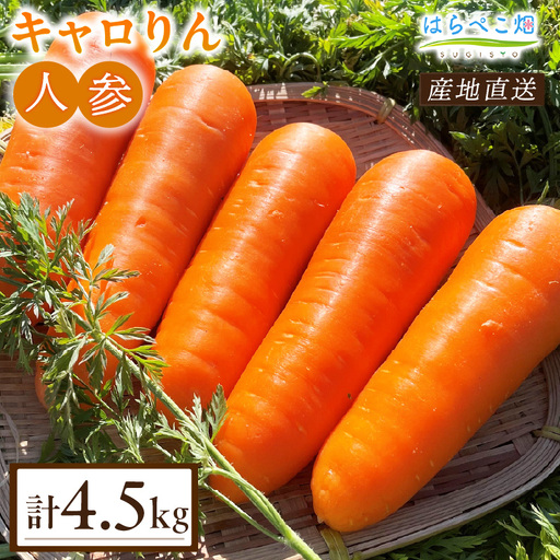 人参『キャロりん』（4.5kg×1箱）・H108