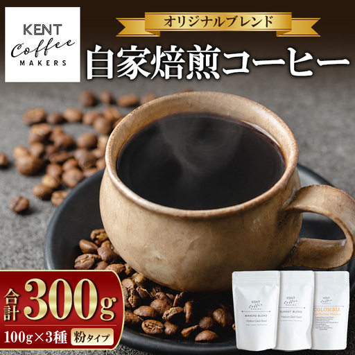 コーヒー 粉 スペシャルティコーヒー 100g × 3種 コーヒー粉【00-131-07】