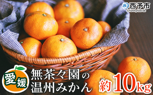 【先行予約】＜無茶々園 温州みかん 約10kg＞ 果物 くだもの ミカン 蜜柑 柑橘 フルーツ うんしゅうみかん 選べる内容量 贈り物 ギフト おいしい 期間限定 季節限定 食べて応援 特産品 愛媛県 西予市 【常温】『2026年11月～12月に順次出荷予定』AMC0058
