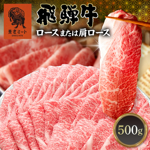 飛騨牛 ロース 肩ロース 500g すき焼き しゃぶしゃぶ 牛肉 和牛肉 霜降り カタロース 岐阜県 坂祝町 養老ミート お取り寄せ グルメ ギフト 御祝 内祝 2 人前 3 人前 鍋 セット  F6M-398