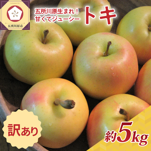 [10月後半以降順次発送] りんご 約5kg 訳あり トキ | 黄色い りんご 青森県産
