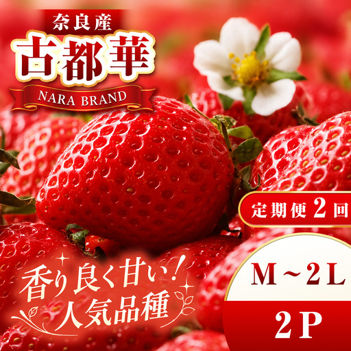 [ 定期便 2回 ]平群 の 古都華 いちご ( M 〜 2Lサイズ) 2パック 