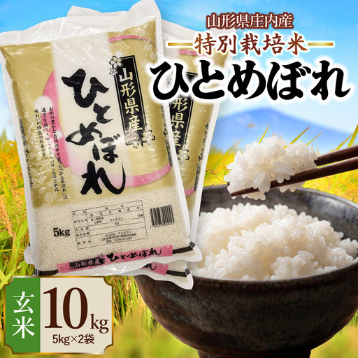 【令和7年産】 特別栽培米 ひとめぼれ 玄米 10kg (5kg×2袋)　山形県 庄内産 　| 10キロ 米 お米 コメ 食品 ご飯 ごはん 美味しい おいしい ブランド米 庄内米 エコ包装 おすすめ 人気 山形県 鶴岡市 東北 国産 お取り寄せ SDGs未来都市鶴岡 返礼品