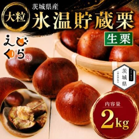 生産者直送 茨城県産 海老澤農園の氷温熟成栗2kg 生栗 大玉 薬剤不使用[配送不可地域:離島・沖縄県]
