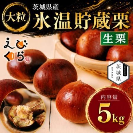 生産者直送 茨城県産 海老澤農園の氷温熟成栗5kg 生栗 大玉 薬剤不使用【配送不可地域：離島・沖縄県】【1745648】