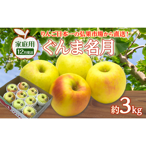 りんご ぐんま名月りんご 青森県産 家庭用ぐんま名月 りんご【約3kg】【12月発送】