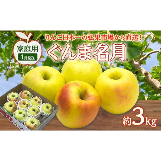 りんご 【 1月発送 】 家庭用 ぐんま名月 約 3kg　リンゴ 林檎 青森りんご 糖度 13度 甘い 酸味 デザート フルーツ 果物 お取り寄せ 産地直送 旬 季節限定 弘果物流 青森県 西目屋村 西目屋村産