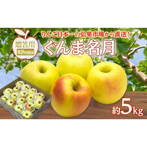 りんご ぐんま名月りんご 青森県産 贈答用ぐんま名月 りんご【約5kg】【12月発送】