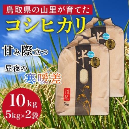 【令和8年産】鳥取県産「コシヒカリ」玄米 10kg(5kg×2)【1746453】