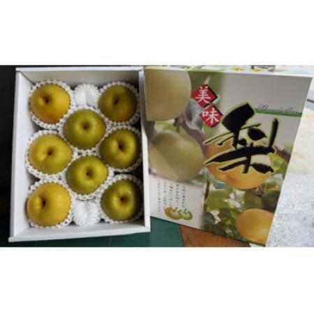 新甘泉　約2.2kg【配送不可地域：離島・北海道・沖縄県】【1747518】