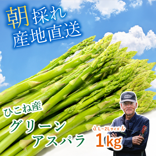 先行予約 グリーンアスパラ 1kg ( L~2L ) 夏芽 アスパラガス アスパラ 夏アスパラ ひこねアスパラ 朝採 新鮮 春野菜 夏野菜 野菜 やさい 滋賀 彦根