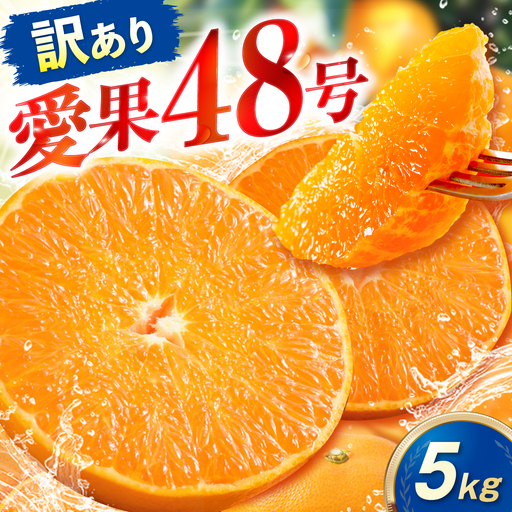 みかん 訳あり 愛果48号 約5kg サイズ不揃い みかん BJAZ013 