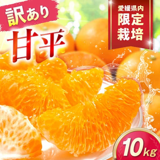 みかん 訳あり 甘平 サイズ不揃い 約10kg みかん BJAZ026 