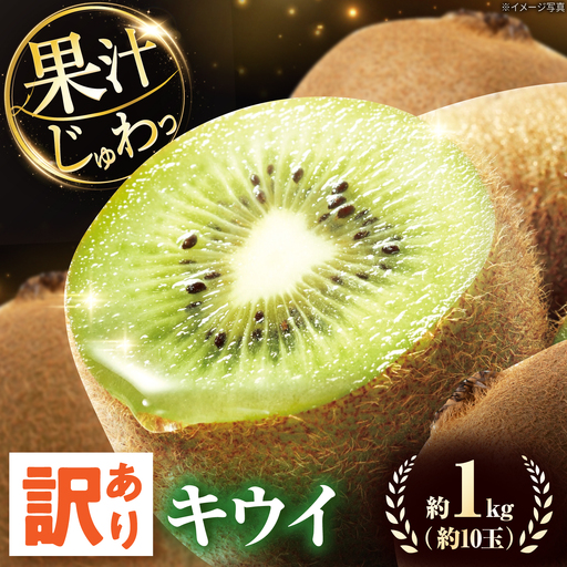 キウイ 訳あり キウイフルーツ ヘイワード サイズ不揃い 約1kg 10個前後 / フルーツ 果物 キウイフルーツ キウイ キューイ キゥイ キュウイ 甘い 先行予約 1kg 愛媛 / 愛媛県砥部町/株式会社電子食品流通研究所[BJBL003]