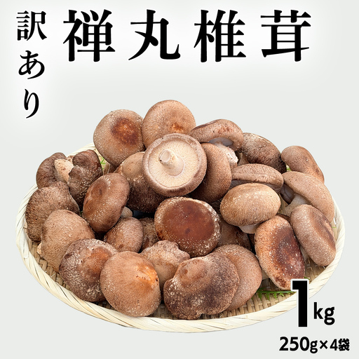 【 訳あり/不揃い 】禅丸椎茸 1kg (250g×4パック) 【岩手県紫波町産】 (FG001)