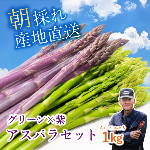 先行予約 グリーン × 紫アスパラ セット 1kg / 各500g ( L~2L ) 夏芽 アスパラガス アスパラ グリーンアスパラ 夏アスパラ ひこねアスパラ 朝採 新鮮 春野菜 夏野菜 野菜 やさい 滋賀 彦根