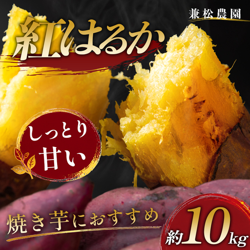 さつまいも 熟成 紅はるか 約10kg 国産 焼き芋 焼芋 やきいも しっとり 蜜芋 芋 おいも サツマイモ さつま芋 べにはるか スイーツ おやつ 産地直送 栽培期間中農薬不使用 高知県 大月町産