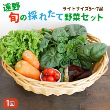 旬のとれたて野菜セット(5~7品)ライトサイズ【こんたでぃーの遠野】【配送不可地域：離島】【1328906】