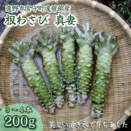 【生産者直送】宮守特産わさび(生) 真妻 200g(3～4本) 岩手県 遠野市 達曽部 薬味 葵食品【配送不可地域：離島】【1332050】