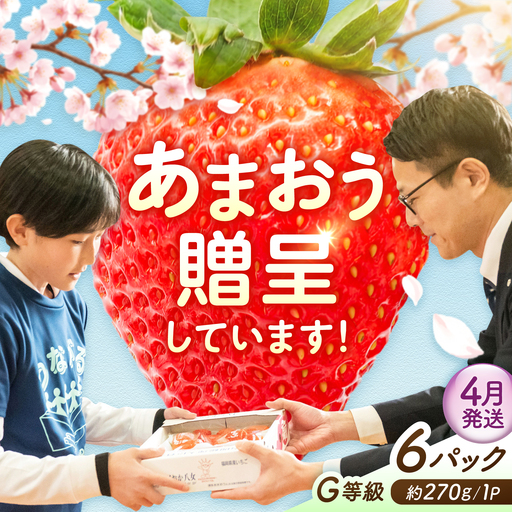 【4月発送】あまおうG等級 3ケース（約270g×6パック） 広川町 / JAふくおか八女農産物直売所どろや[AFAB105]