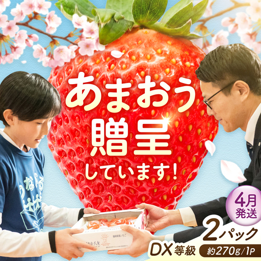 [4月発送]あまおうDX等級 1ケース(約270g×2パック) 広川町 / JAふくおか八女農産物直売所どろや[AFAB108]