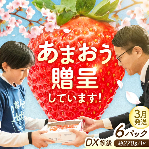 【3月発送】あまおうDX等級 3ケース（約270g×6パック） 広川町 / JAふくおか八女農産物直売所どろや[AFAB113]