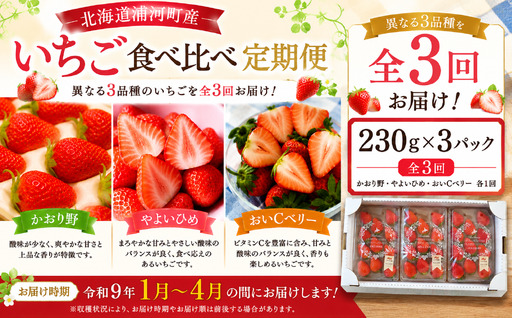 【令和9年1月～4月発送！】北海道浦河町産いちご食べ比べ定期便(全3回)[13-1629]