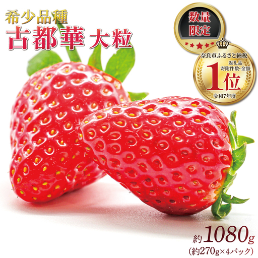 【2027年1月～発送予定】いちご 古都華 大粒 約270g×4パック drm004