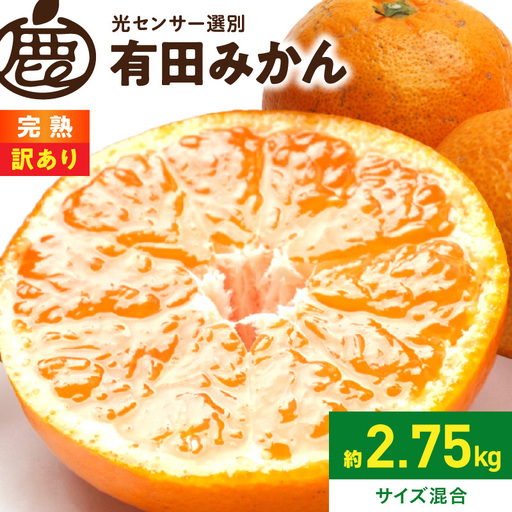 【2026年先行予約】家庭用 完熟有田みかん約2.5kg+250g（傷み補償分）【わけあり・訳あり】【光センサー選果】_ZH7127