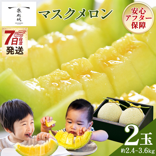 メロン 2玉入り[7日程度で発送] メロン tn-0065
