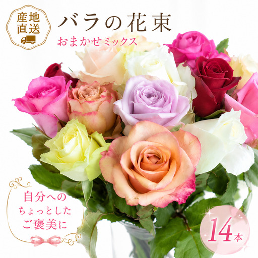 【自分へのご褒美】 お花 プレゼント バラ 花束 色 おまかせ 自宅用 家庭用 自分へのご褒美 自分用 おまかせブーケ 14本 花 生花 薔薇 ローズ プレゼント 贅沢 フラワー 雑貨 インテリア 生産者 お手軽 簡易包装 花瓶 直送 新潟県 新潟 新発田 お中元 花プラン plan003
