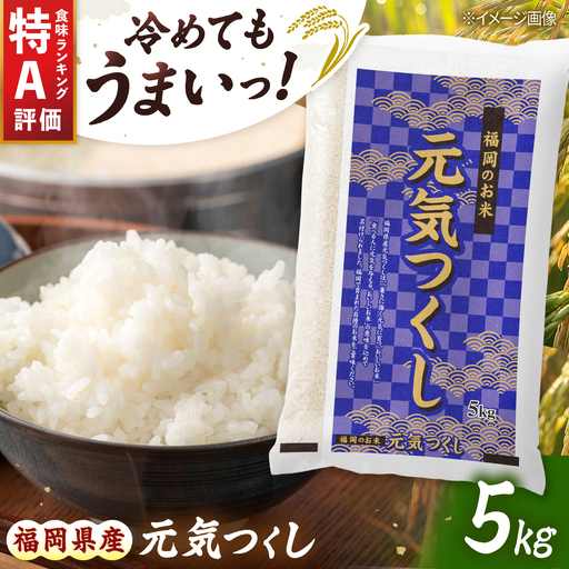 令和7年産 福岡県 元気つくし 5kg [BGBZ004]