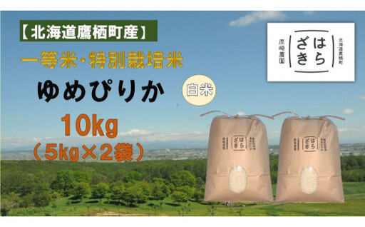 【令和7年産】一等米・特別栽培米 10kg【ゆめぴりか白米】5kg×2袋（農薬7割減）北海道 鷹栖町 原崎農園