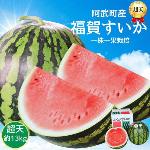 福賀 すいか 超天 13kg 圧巻の超大玉&シャリシャリ食感 高糖度 山口県 阿武町産 1個(希少1株1玉栽培) 産地直送 [2026年7月上旬〜8月中旬順次発送]