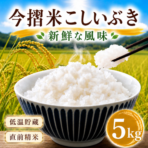 今摺米 こしいぶき 5kg ( 5kg × 1袋 ) 令和7年産 JA ブランド米 お 精米 いまずりまい ごはん こめ おむすび おにぎり 弁当 おかず 色彩選別 鮮度 雪解け水 贈答 ギフト 国産 新潟 新発田 JA北新潟 こったま〜や 011