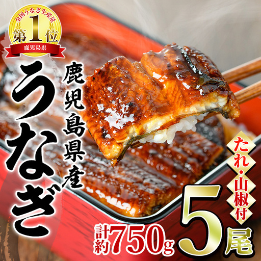 東串良町 うなぎ 蒲焼 (無頭)(5尾・計約750g・タレ、山椒付) 高級 ウナギ 鰻 国産 たれ 鹿児島 ふるさと 人気[アクアおおすみ][0294315a]