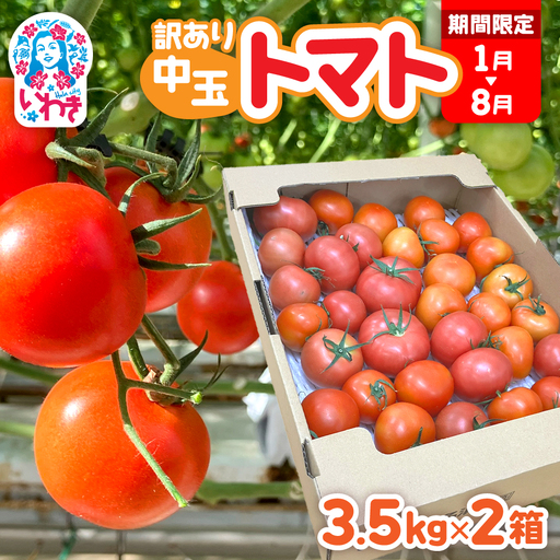 [1月〜8月]訳あり 中玉 トマト 約3.5kg×2箱 