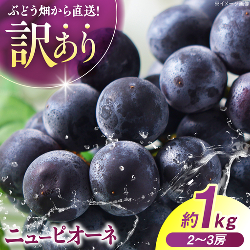訳ありニューピオーネ (約1kg/2から3房)ぶどう 葡萄 [APCM020]