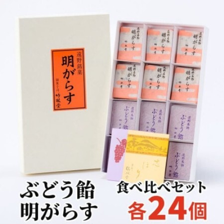 明がらす・ぶどう飴 各24個(計48個)食べ比べセット 岩手県遠野市 竹林堂【1740131】