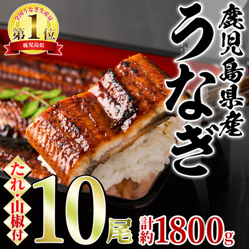 東串良町 うなぎ 蒲焼 (無頭)(10尾・計約1,800g・タレ、山椒付) 高級 ウナギ 鰻 国産 たれ 鹿児島 ふるさと 人気【アクアおおすみ】【0634364a】