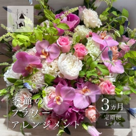 【毎月定期便】松田生花店の季節のフラワーアレンジメント Lサイズ全3回【配送不可地域：離島】【4050668】