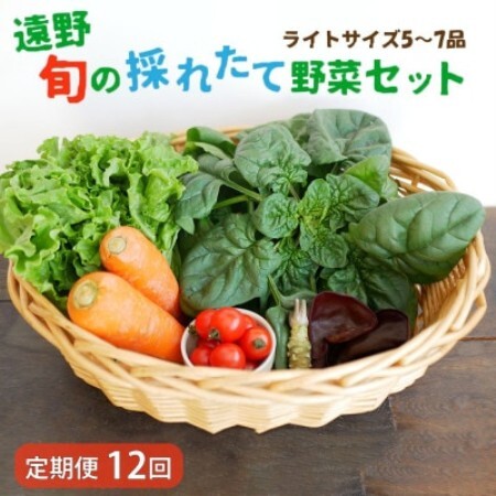 【毎月定期便】旬のとれたて野菜セット(5～7品)ライトサイズ【こんたでぃーの遠野】全12回【配送不可地域：離島】【4066188】