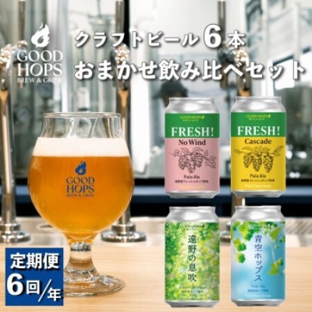 【発送月固定定期便】クラフトビール おまかせ 6本セット GOOD HOPS全6回【配送不可地域：離島】【4082162】