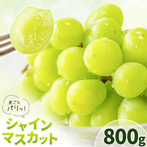 シャインマスカット 800g 株式会社エフビーネット《8月中旬-9月上旬頃出荷》熊本県 菊池市 ぶどう ブドウ マスカット 果物 フルーツ デザート ギフト ご贈答 熊本県産