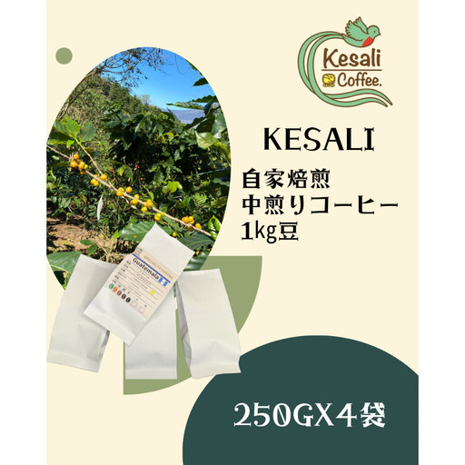 Kesali自家焙煎　中煎りコーヒー1kg豆