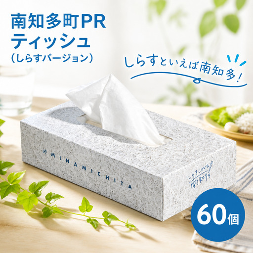 南知多町PR ティッシュ (しらすバージョン) 60個 ティッシュ ティッシュペーパー 紙 ボックスティッシュ BOX ティッシュ 日用品 消耗品 普段使い 肌触り 備蓄 生活応援 箱 必需品 家族 保管 備え しらす ボックス ティッシュ