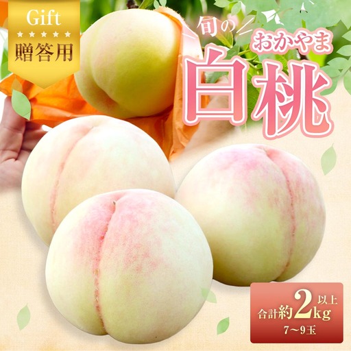 【 贈答用 】 旬のおかやま白桃 7～9玉 （ 約2kg以上 ） 桃 もも モモ 白桃 ピーチ フルーツ 果物 くだもの 果実 おやつ デザート スイーツ 岡山県産 国産 【 2026年7月上旬～8月下旬迄発送予定 】