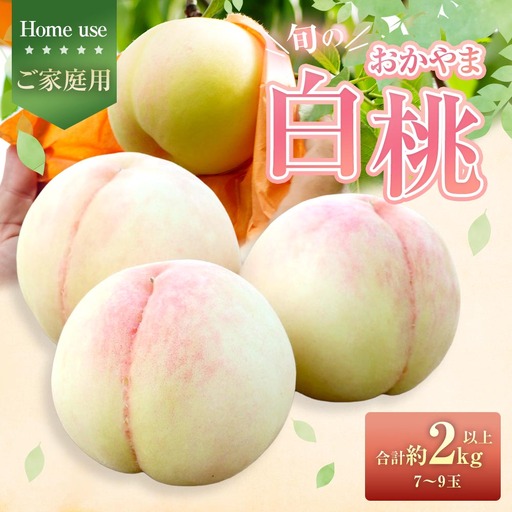 【 ご家庭用 】 旬のおかやま白桃 7～9玉 （ 約2kg以上 ） 桃 もも モモ 白桃 ピーチ フルーツ 果物 くだもの 果実 おやつ デザート スイーツ 岡山県産 国産 【 2026年7月上旬～8月下旬迄発送予定 】