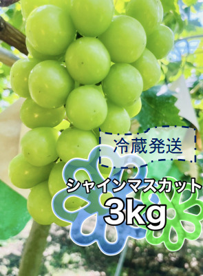 ＜2026年発送先行予約＞クール便で新鮮にお届け！シャインマスカット 3kg（4～6房） ALPEG006