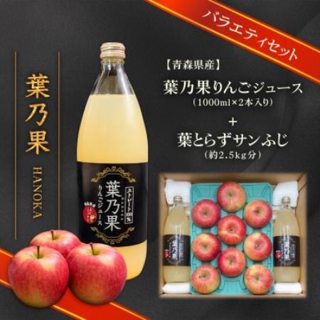 葉とらずりんごジュース2本＆家庭用訳あり 青森県産りんご約2.5kg(品種おまかせ) アソートセット【配送不可地域：離島・沖縄県】【1719619】